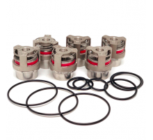 Discharge/suction valves kit for FMC L09 (P534391)
