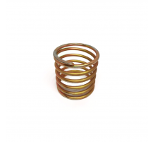 Valve Spring for PP 2500