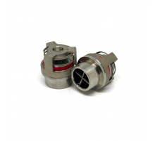 Suction valve assembly 2,5" for FMC L09 (BG-P533637)