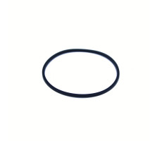 110-000238-200 Ring