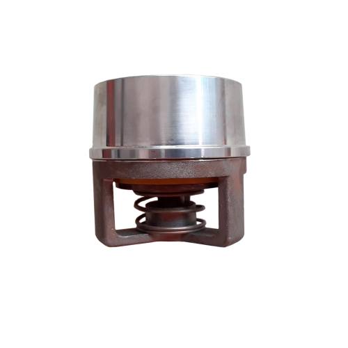 Suction valve for FMC L16/M12 (BG-5271408)