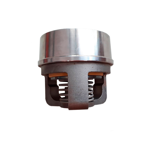 Discharge valve for PP 500 (BG-PD-038-10012)