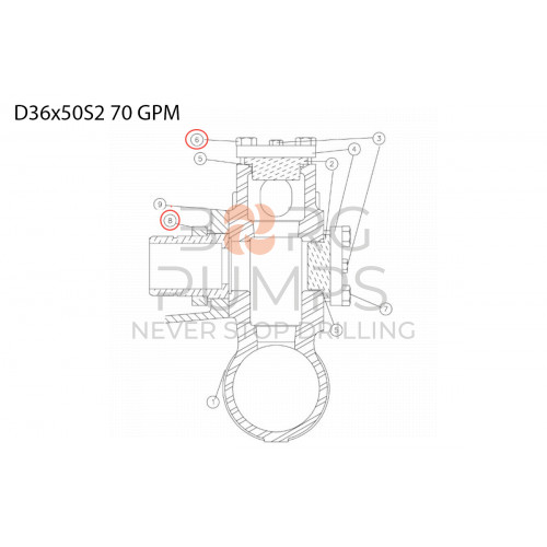 Valve spring 277781053 Aplex 150 GPM