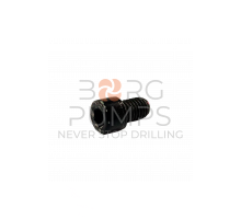 CAP SCREW 1/2" 3268086 
