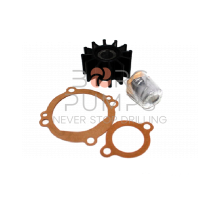 AP-197 Water Pump repair kit KA-3500PT 