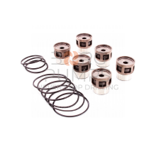 Disk valve repair kit BG-5260670 for FMC L11/L16