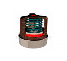 Discharge valve assembly for Aplex (BG-TS30-AR0-AC0721)