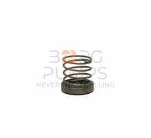 Valve disc with spring 3266811 