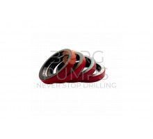 Oil Seal Kit (4 pieces) for KERR (KA-28)