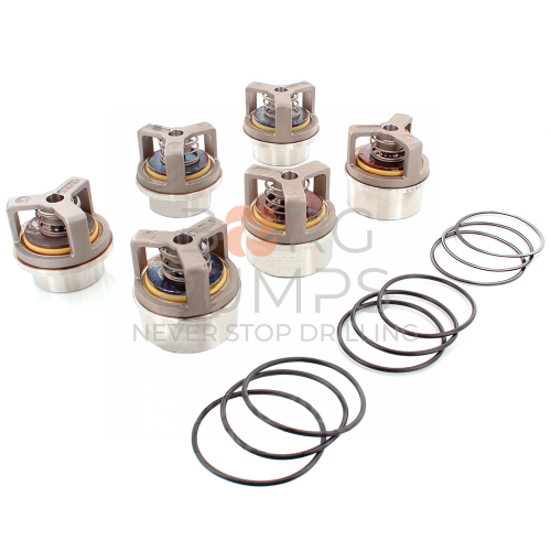 img_A/R_Valve_repair_kit_BG-P508619_by_BORG_for_FMC_L1622HV.jpg foto A/R Valve repair kit BG-P508619 by BORG Pumps GMBH for FMC L1622HV