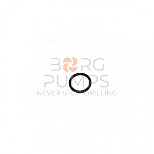 img_1101176_O_ring.jpg foto 1101176 O-ring BORG Pumps GMBH