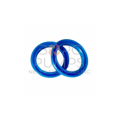 img_P509945_Oil_seal.jpg foto P509945 Oil seal BORG Pumps GMBH