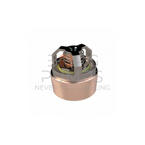 pic_discharge_valve_assembly_for_aplex_bg_ts18_ar0_ac0715.jpg image Discharge valve assembly for Aplex (BG-TS18-AR0-AC0715)