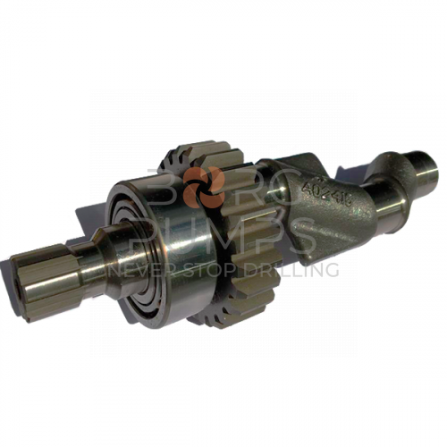 img_P509529_E04_Series_Crankshaft.jpg foto P509529 E04 Series Crankshaft BORG Pumps GMBH
