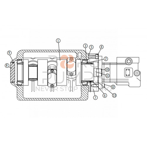 img_crankshaft_for_aplex_7207_0054_00b.jpg foto Crankshaft for Aplex (7207-0054-00B) BORG Pumps GMBH