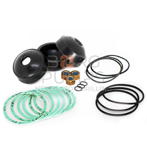 img_P501870_HSN_FMC_L11_L16_Piston_Repair_Kit.jpg foto P501870 HSN FMC L11/L16 Piston Repair Kit BORG Pumps GMBH