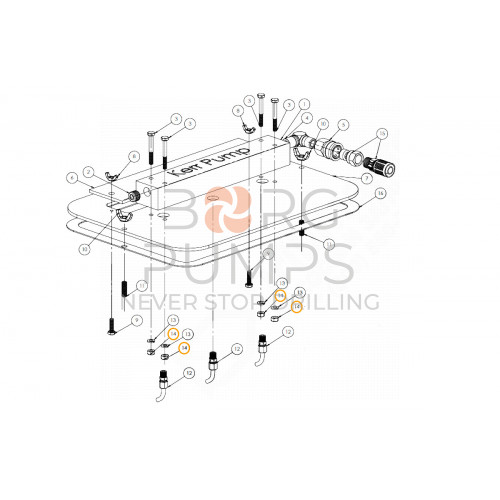 img_nut-1-4-20-unc-ap-190-14.jpg foto Nut, 1/4-20 UNC for KERR (AP-190-14) BORG Pumps GMBH