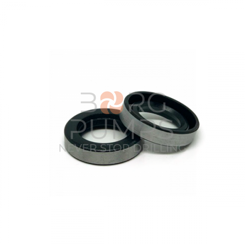 img_PPFMC_1283603_Piston_Rod_Oil_Seal.jpg foto PPFMC 1283603 Piston Rod Oil Seal BORG Pumps GMBH