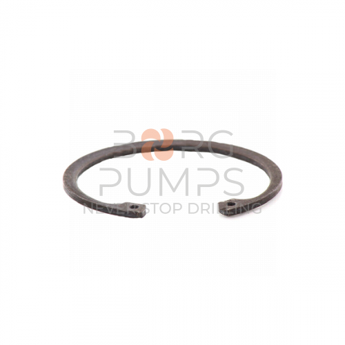img_1113528_O_ring.jpg foto 1113528 O-ring BORG Pumps GMBH