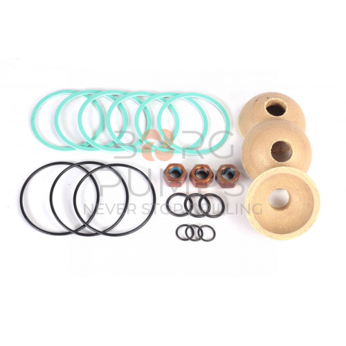 pic_P509371_Piston_Repair_Kit_L06_L09_TYPE_A.jpg image P509371 Piston Repair Kit L06/L09 (TYPE A) BORG Pumps GMBH