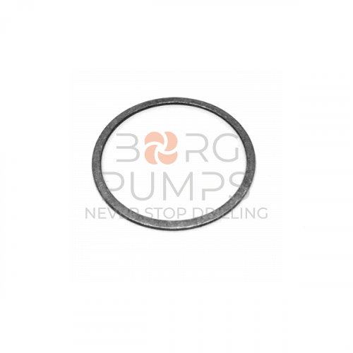 img_1285170_Ring.jpg foto 1285170 Ring BORG Pumps GMBH